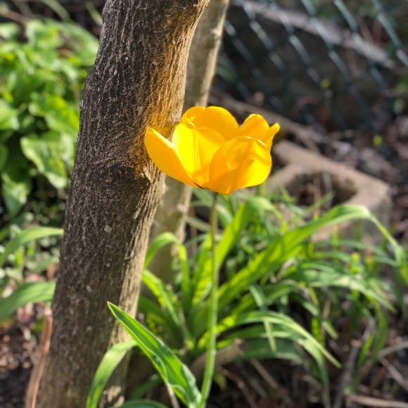 Meet your Posher, Madison - Picture 1 of 1